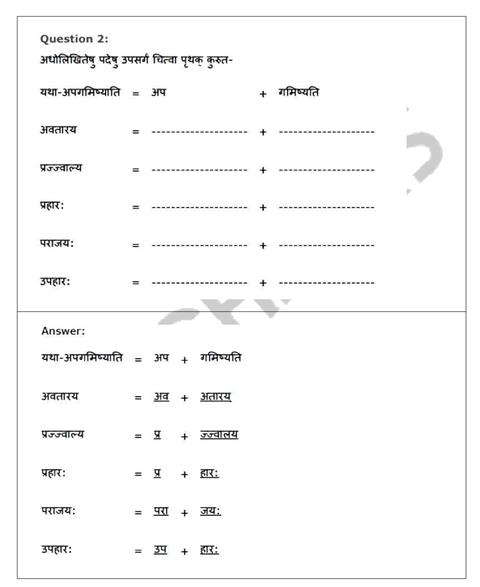 NCERT Solution Class 8 Sanskrit Chapter 6 : प्रेमलस्य प्रेमलसयाशच कथा